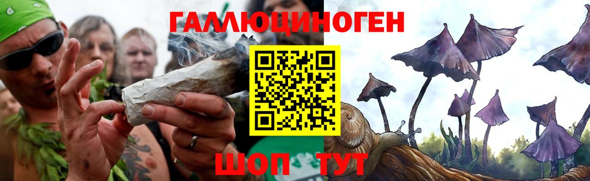 Котлас  Псилоцибиновые грибы Magic Shrooms  Галлюциногенные грибы GOLDEN TEACHER  Вход с VPN 